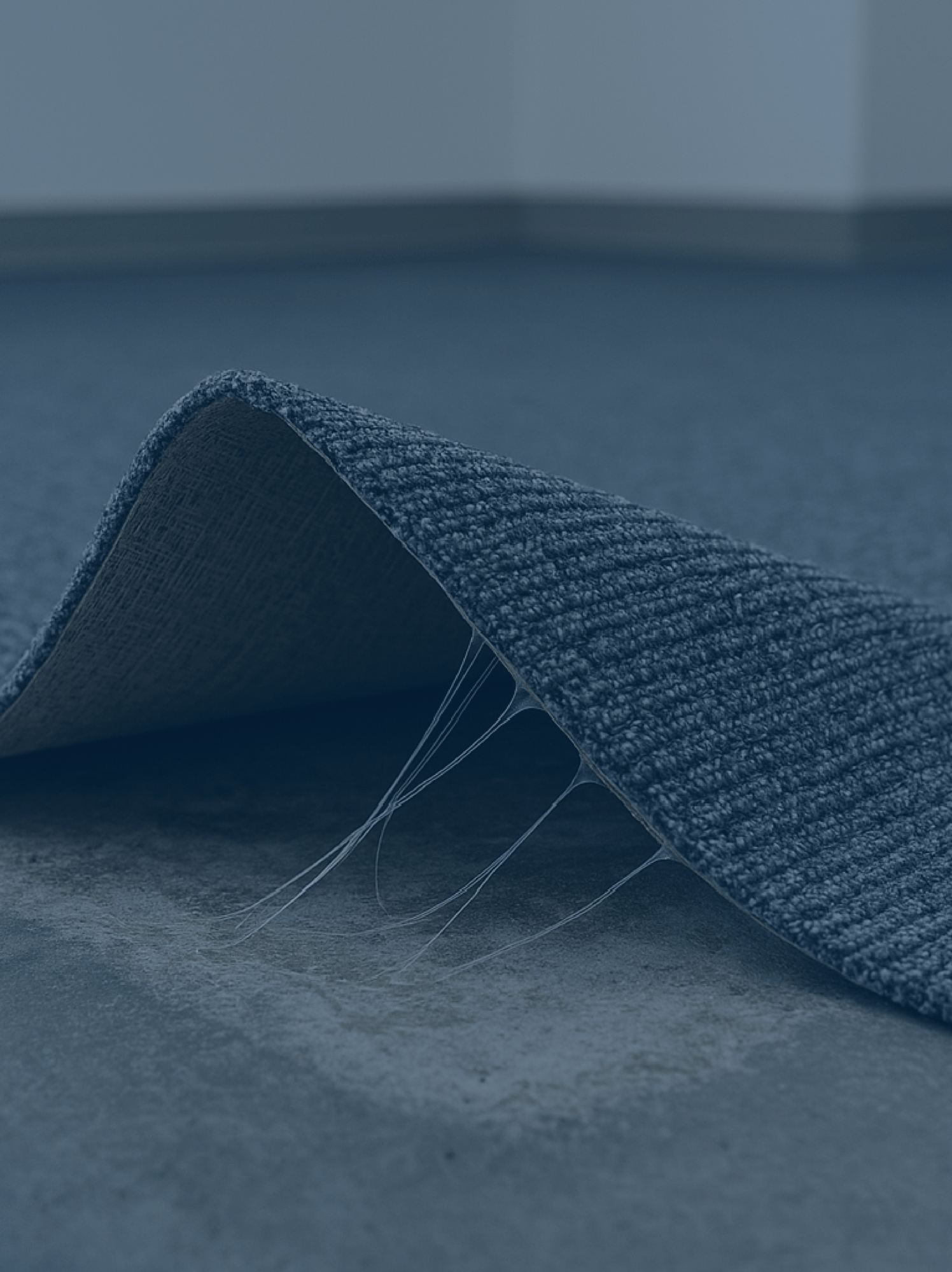 Mitigación de la humedad Imágenes-01