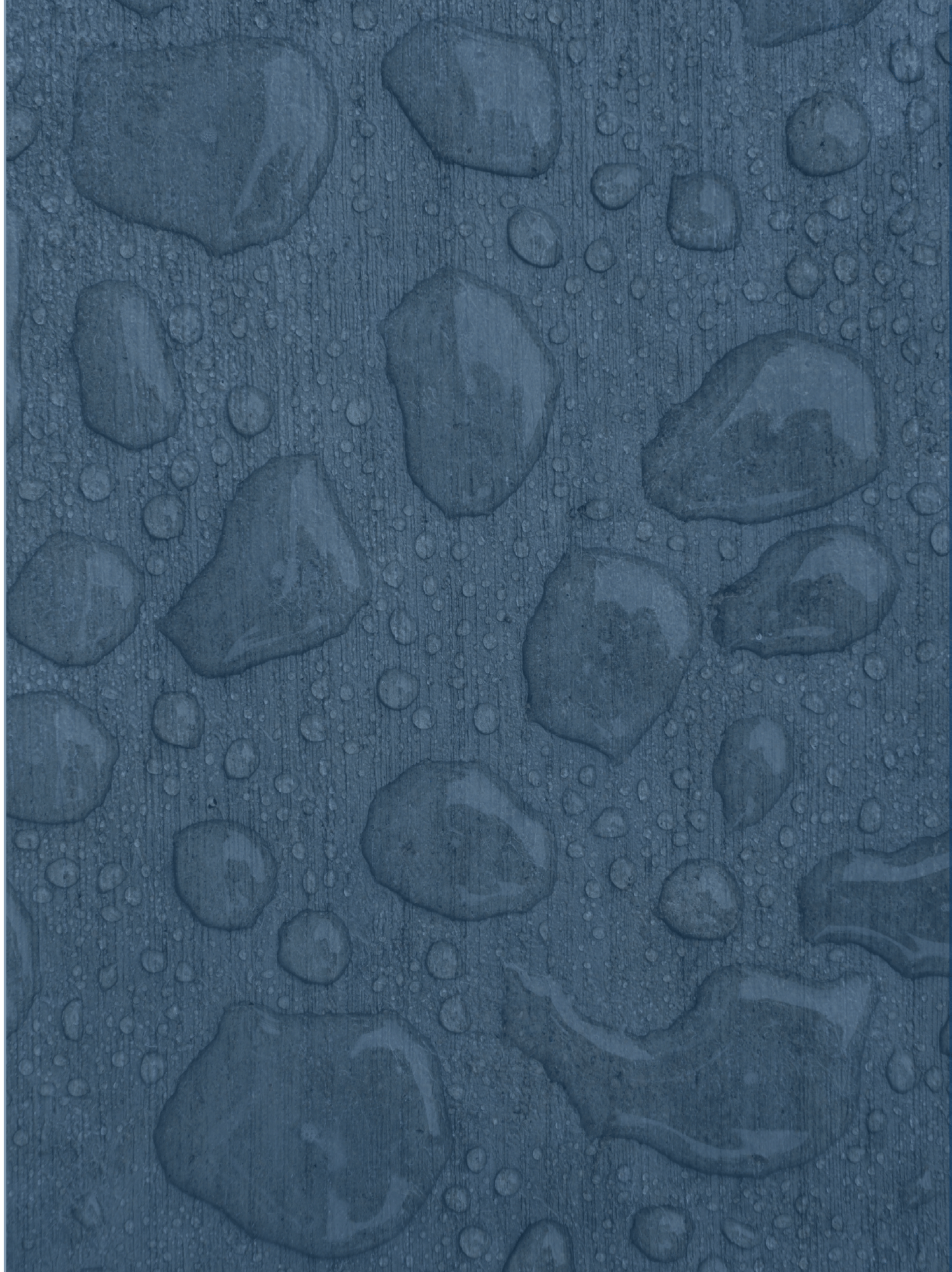 Mitigación de la humedad Imágenes-03