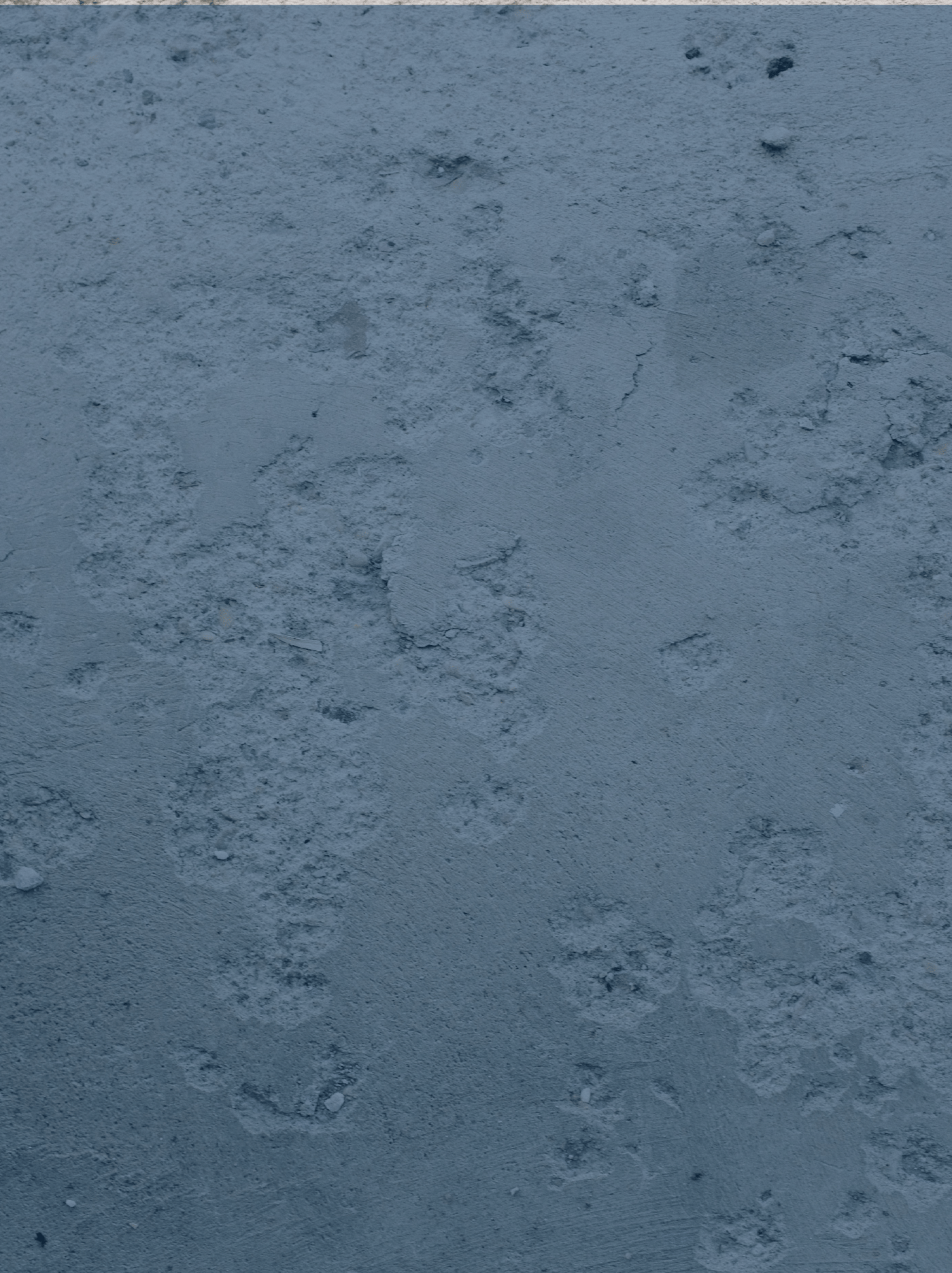 Moisture Mitigation Images-04