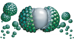 molecule